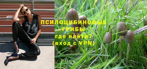 винт Бородино