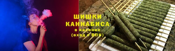 винт Бородино