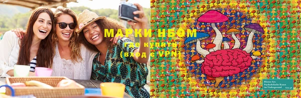 метадон Богданович