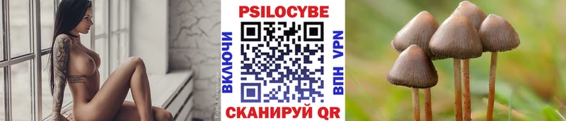МЕГА ссылки  где купить наркотик  Дигора  Псилоцибиновые грибы ЛСД 